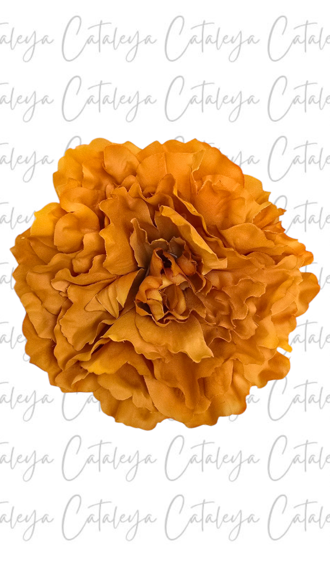 Peonia Grande