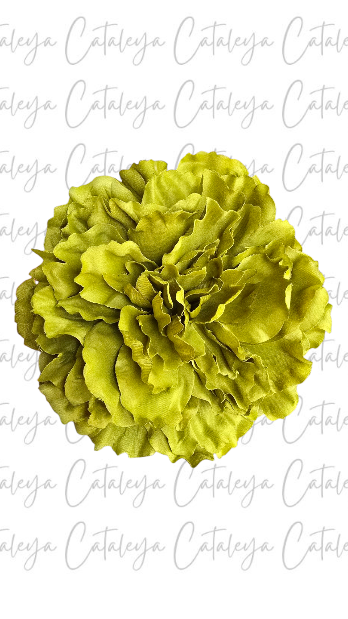 Peonia Grande