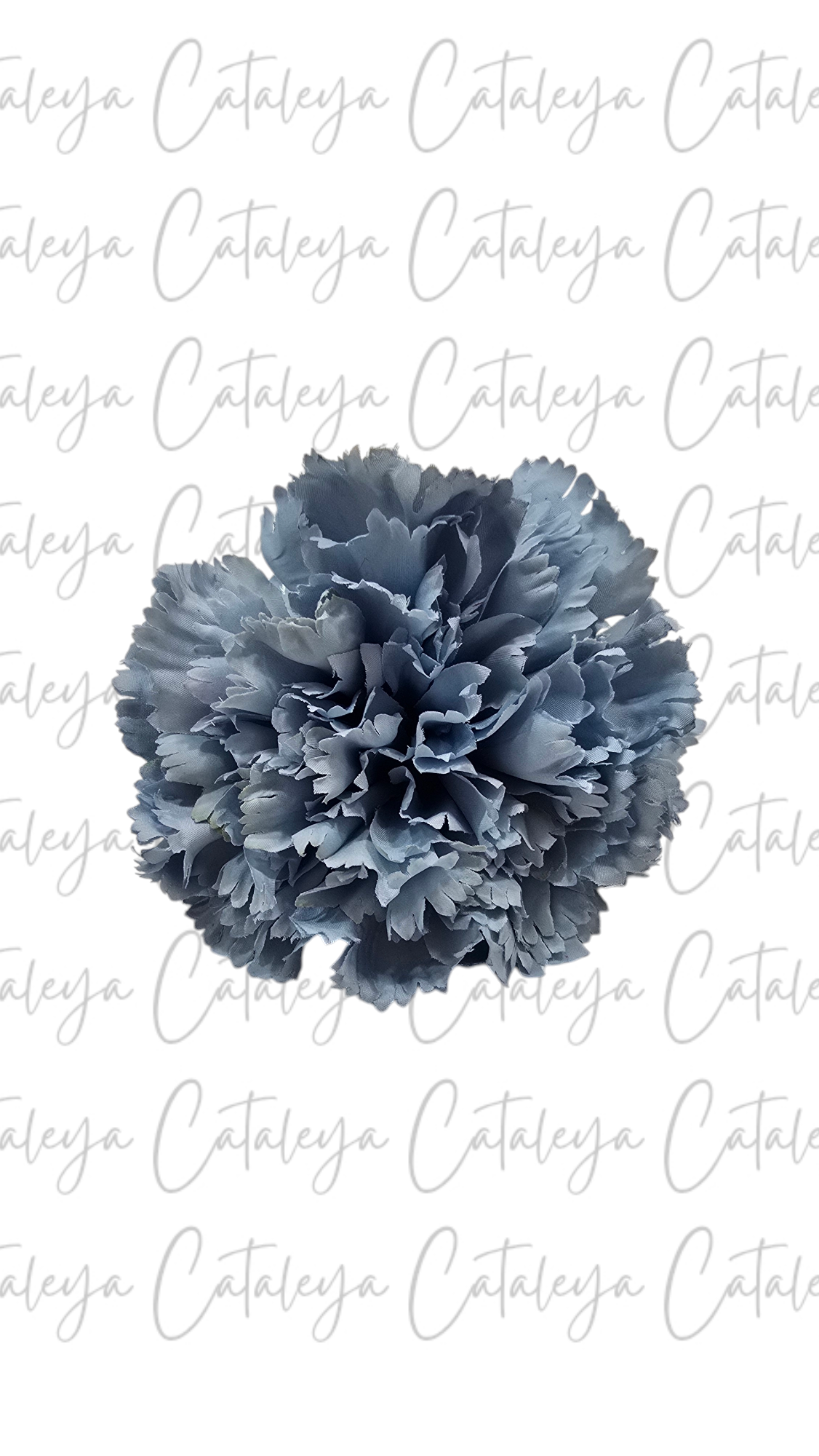 Clavel
