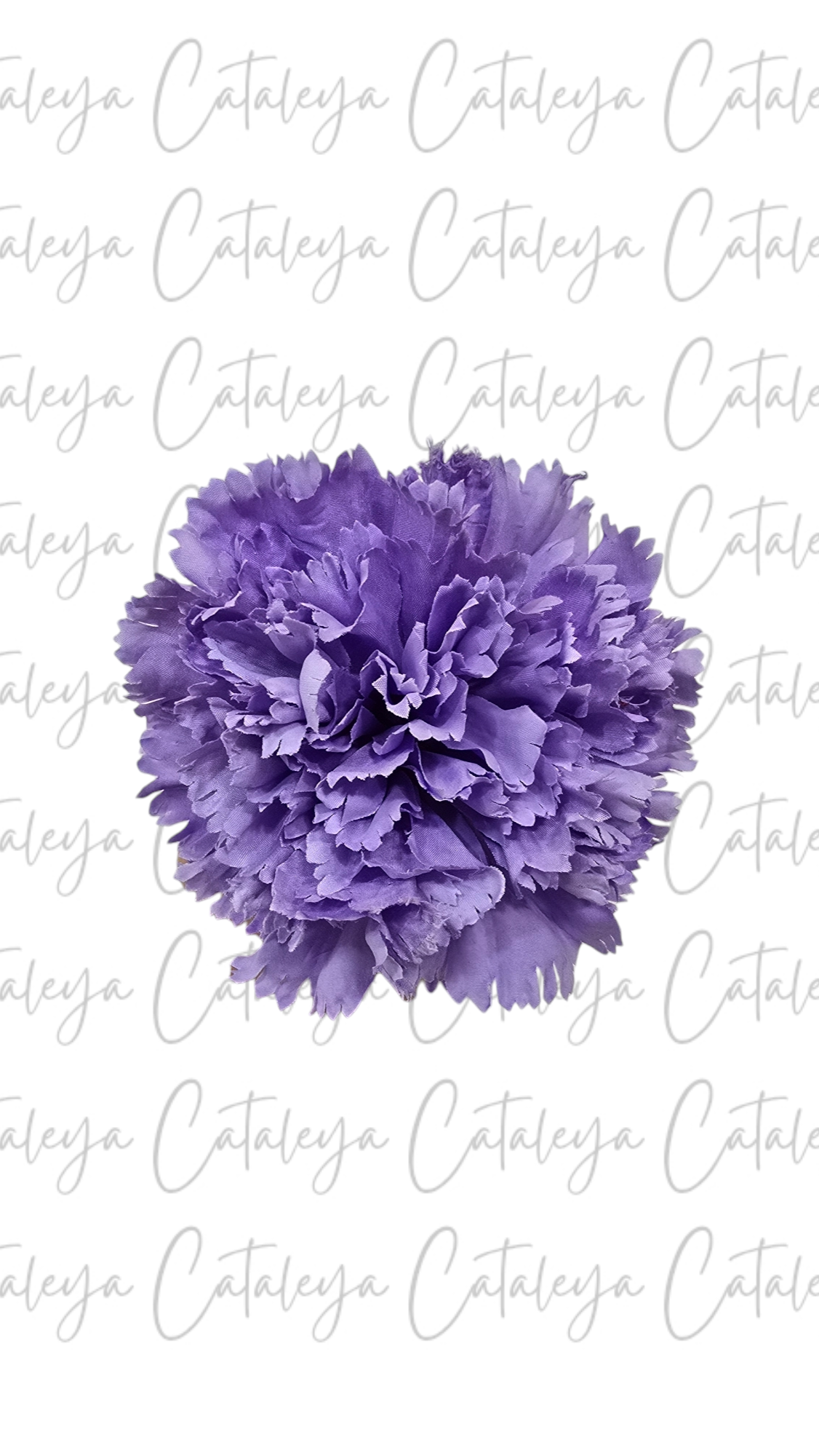 Clavel