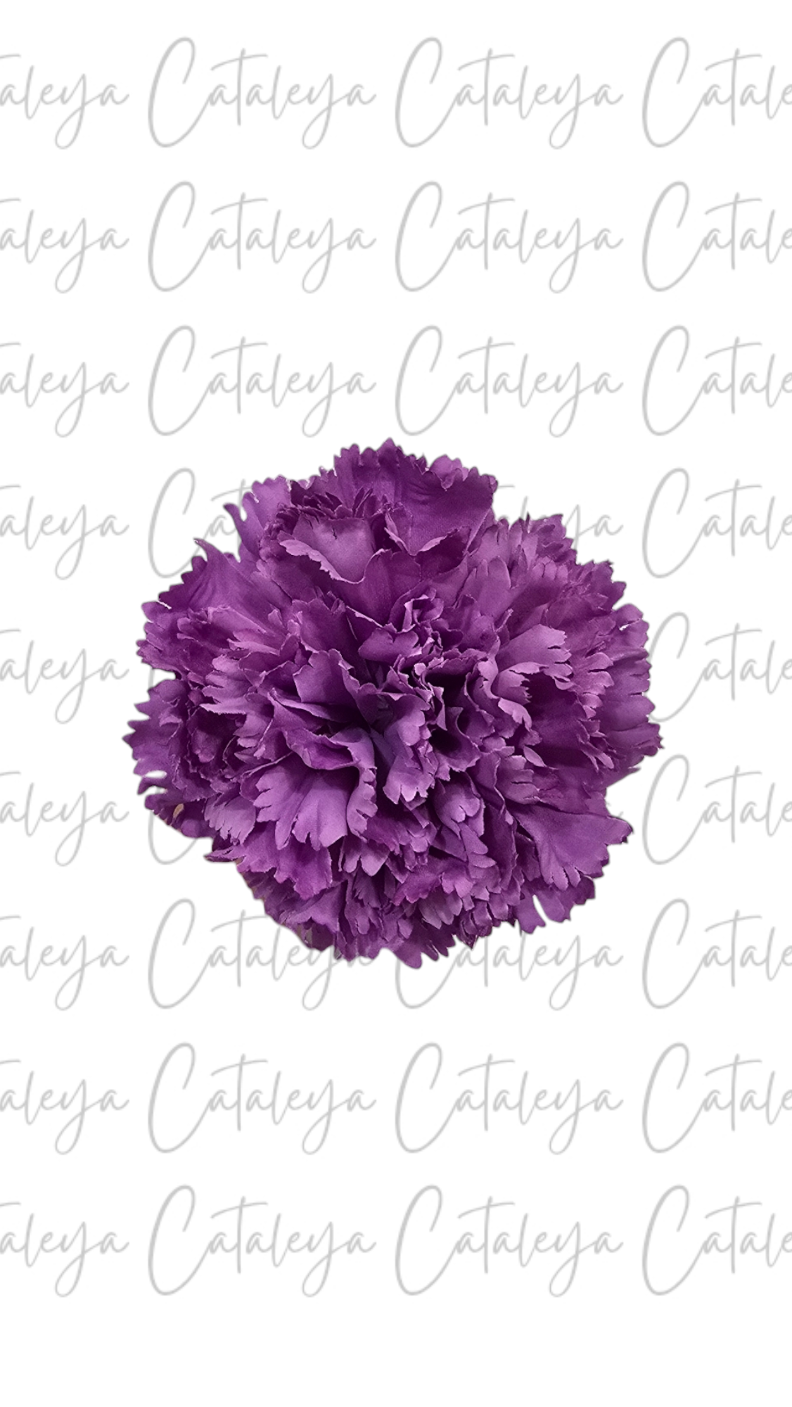 Clavel