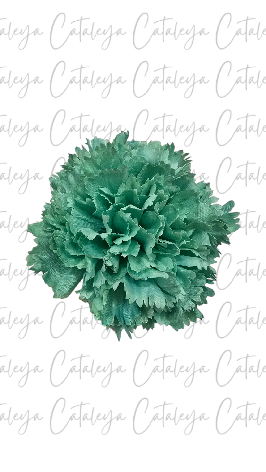 Clavel