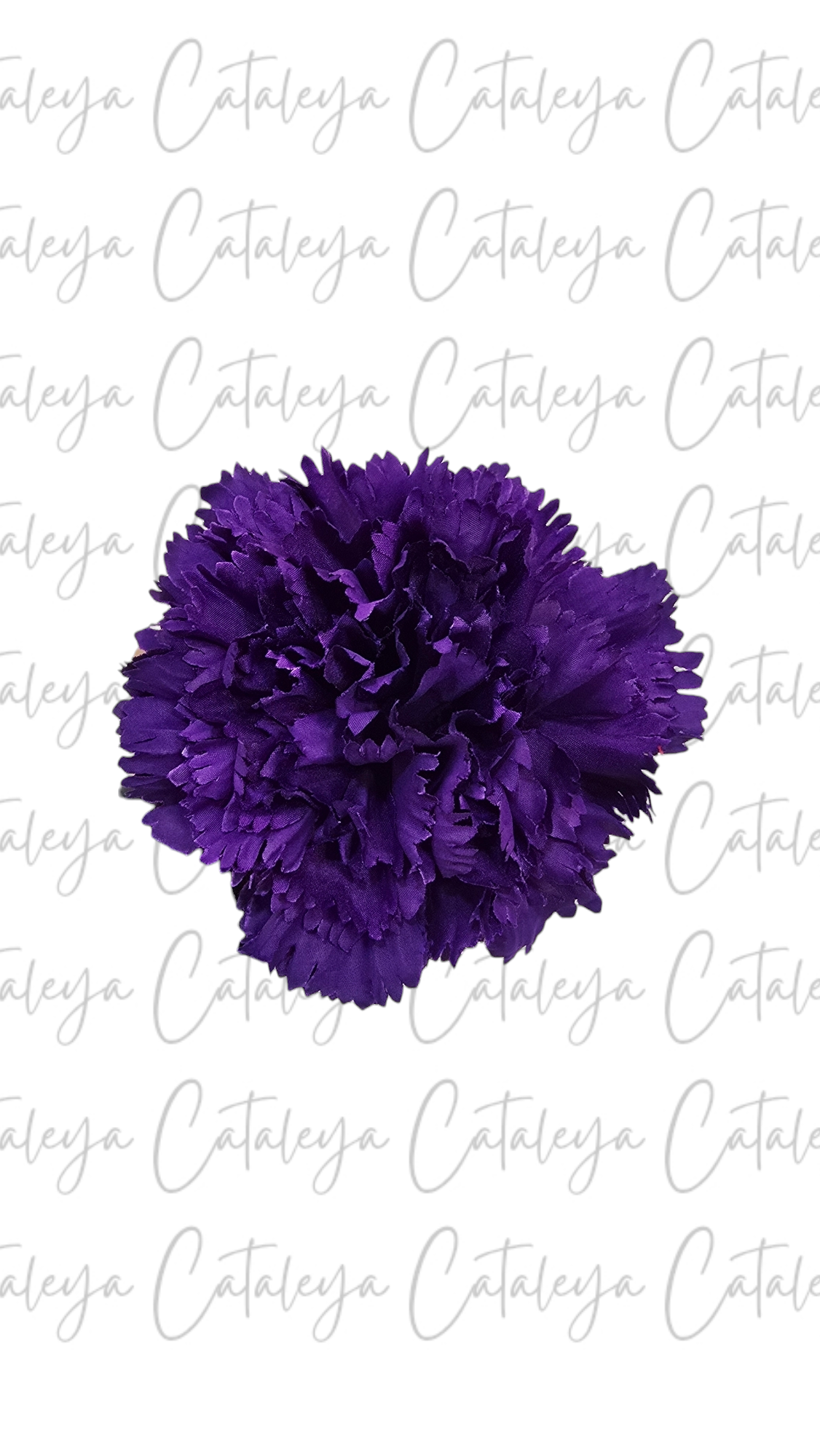 Clavel