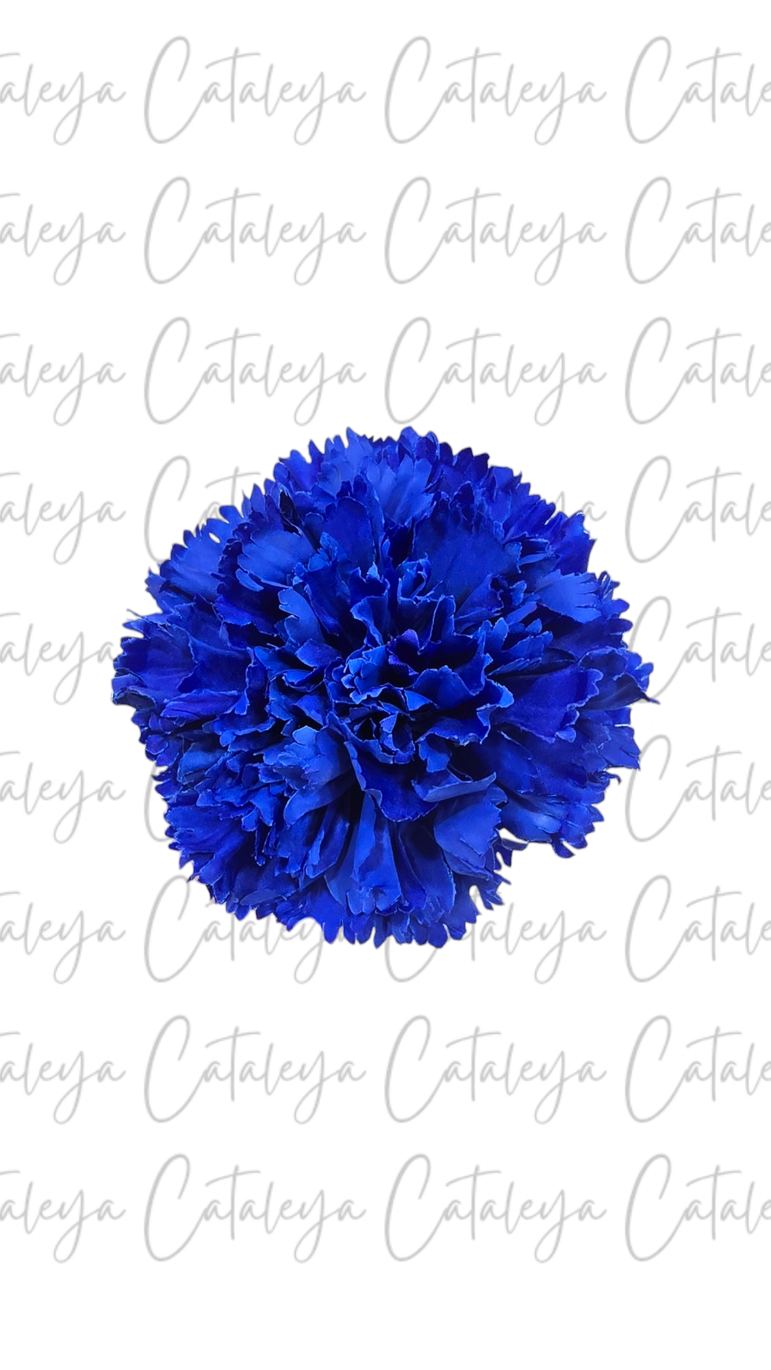 Clavel