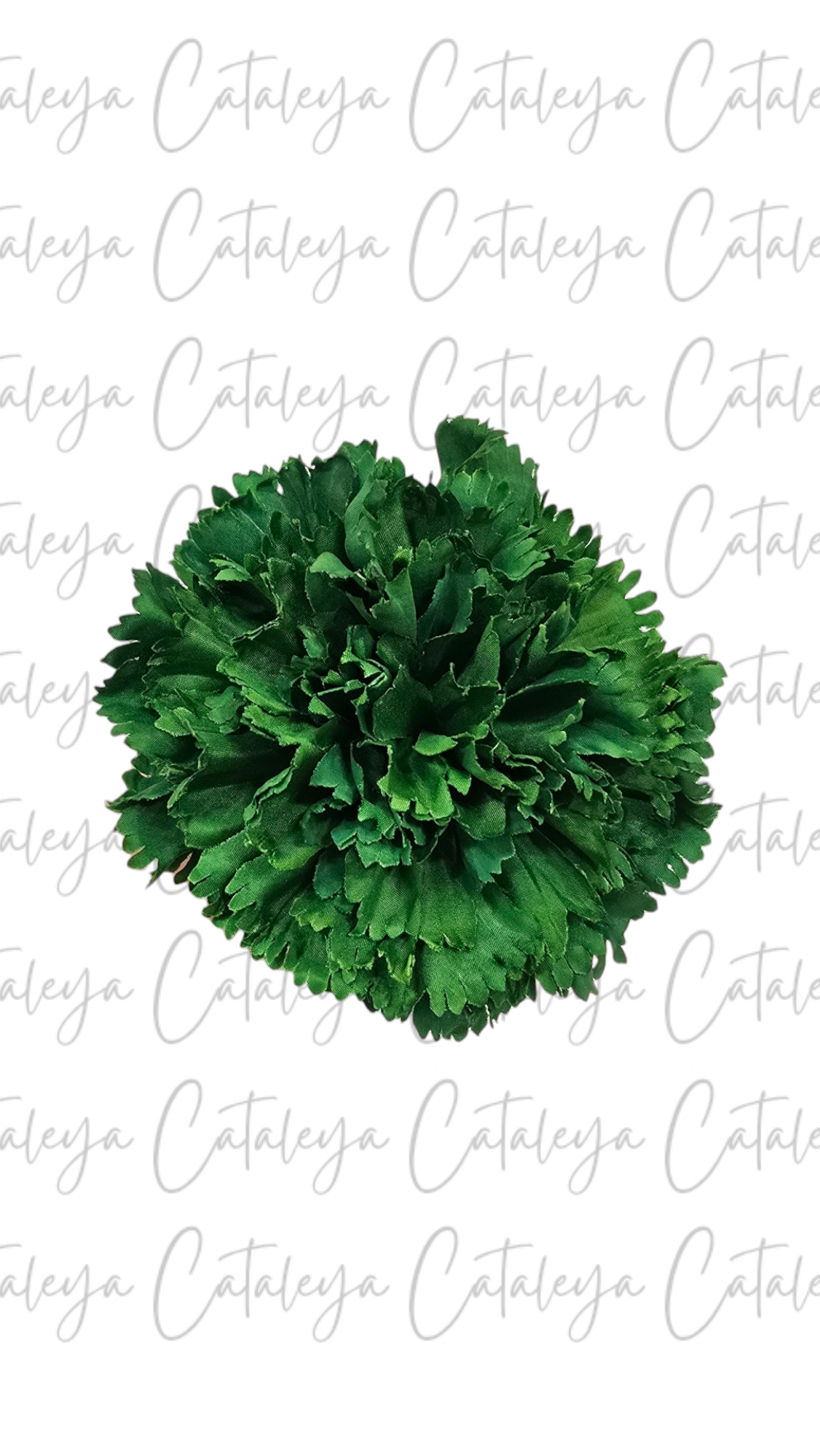 Clavel
