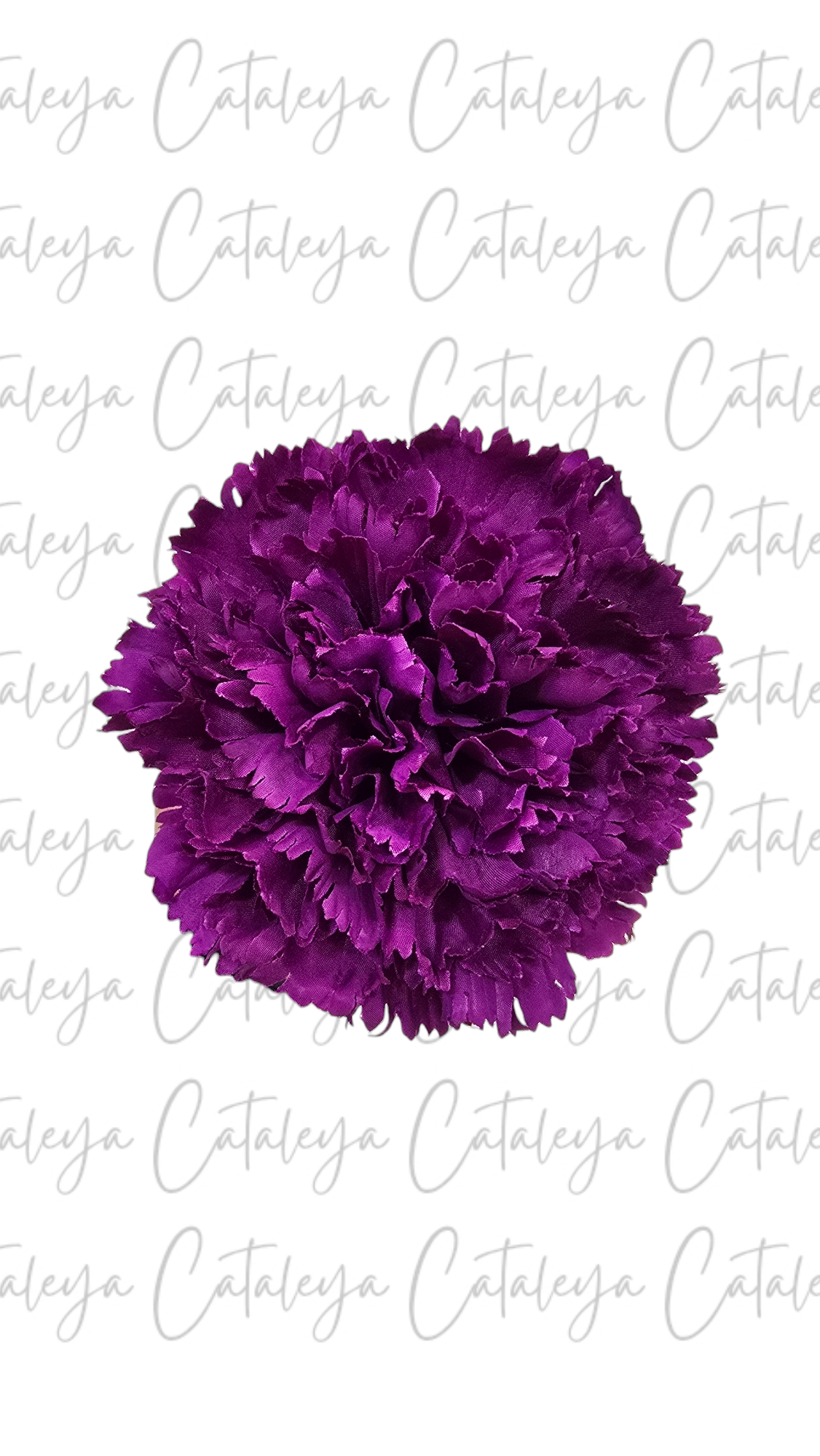 Clavel