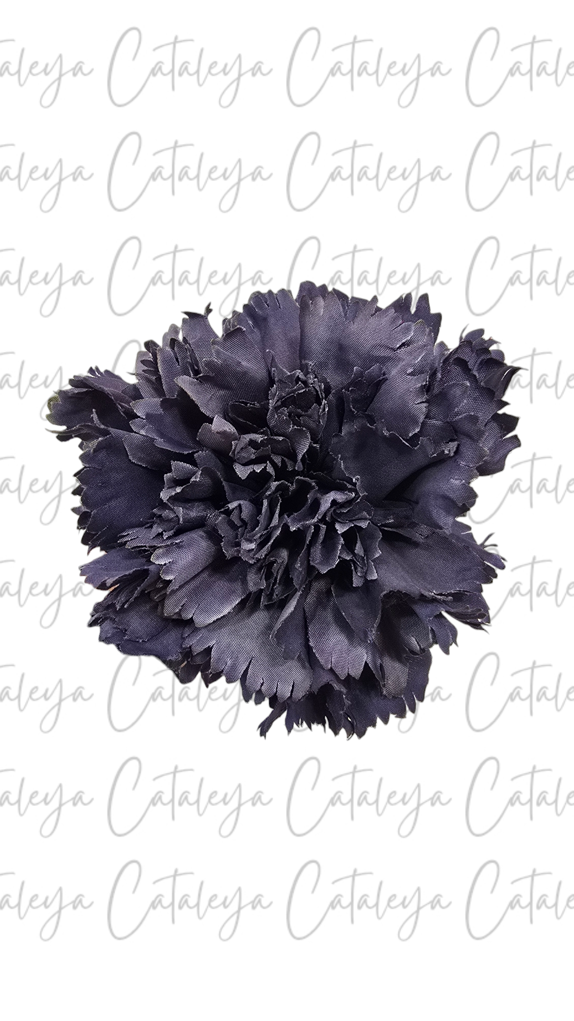 Clavel