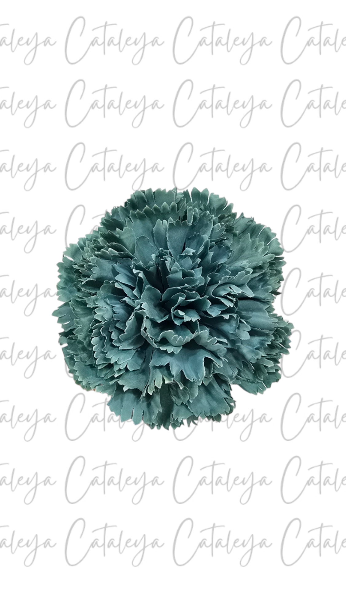 Clavel