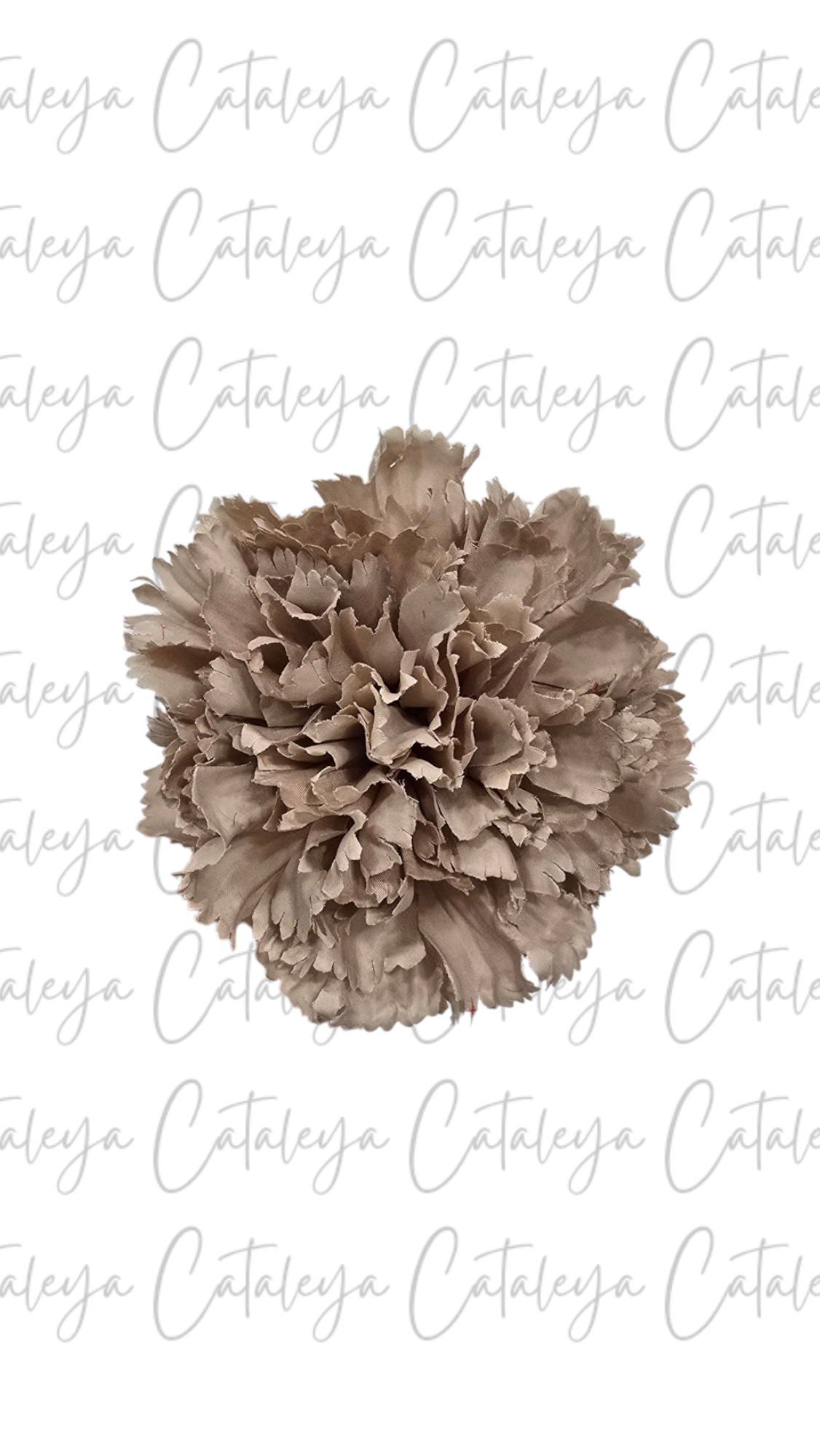Clavel