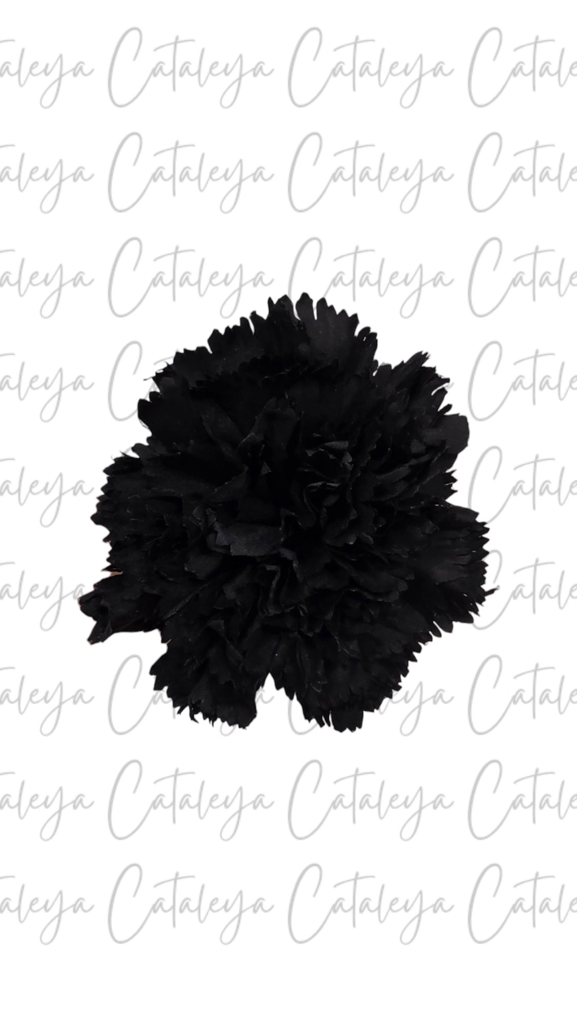 Clavel