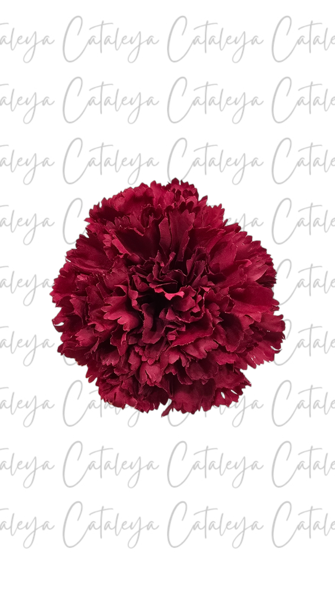 Clavel