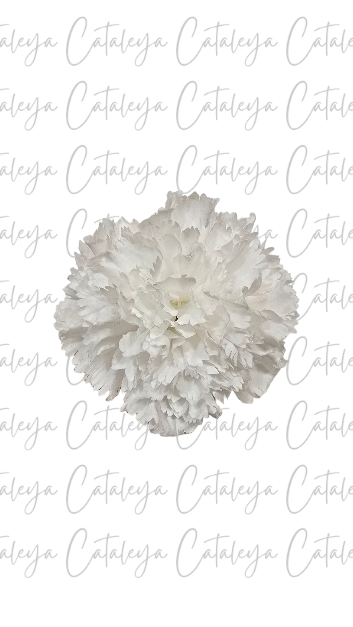 Clavel