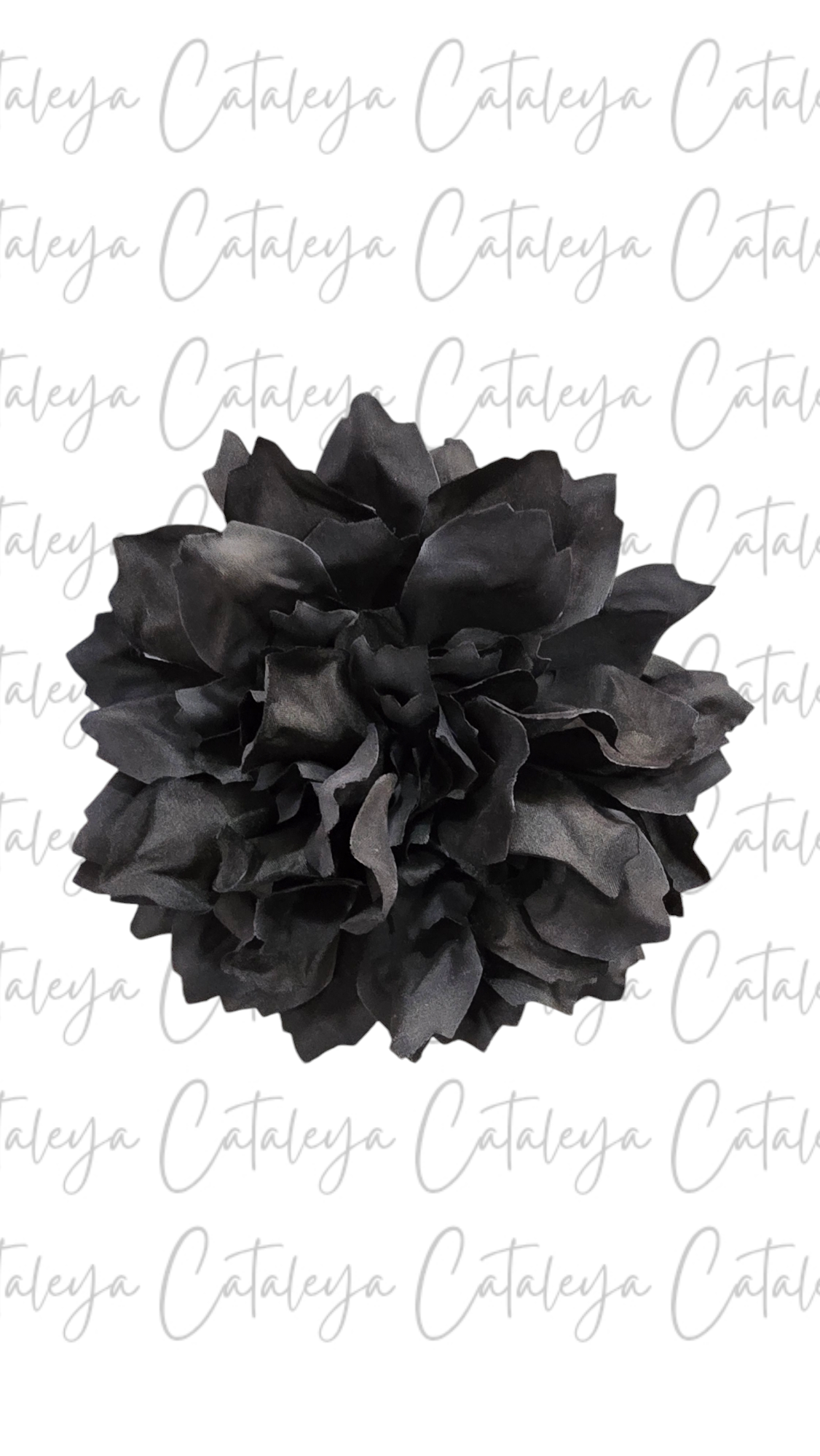 Dalia