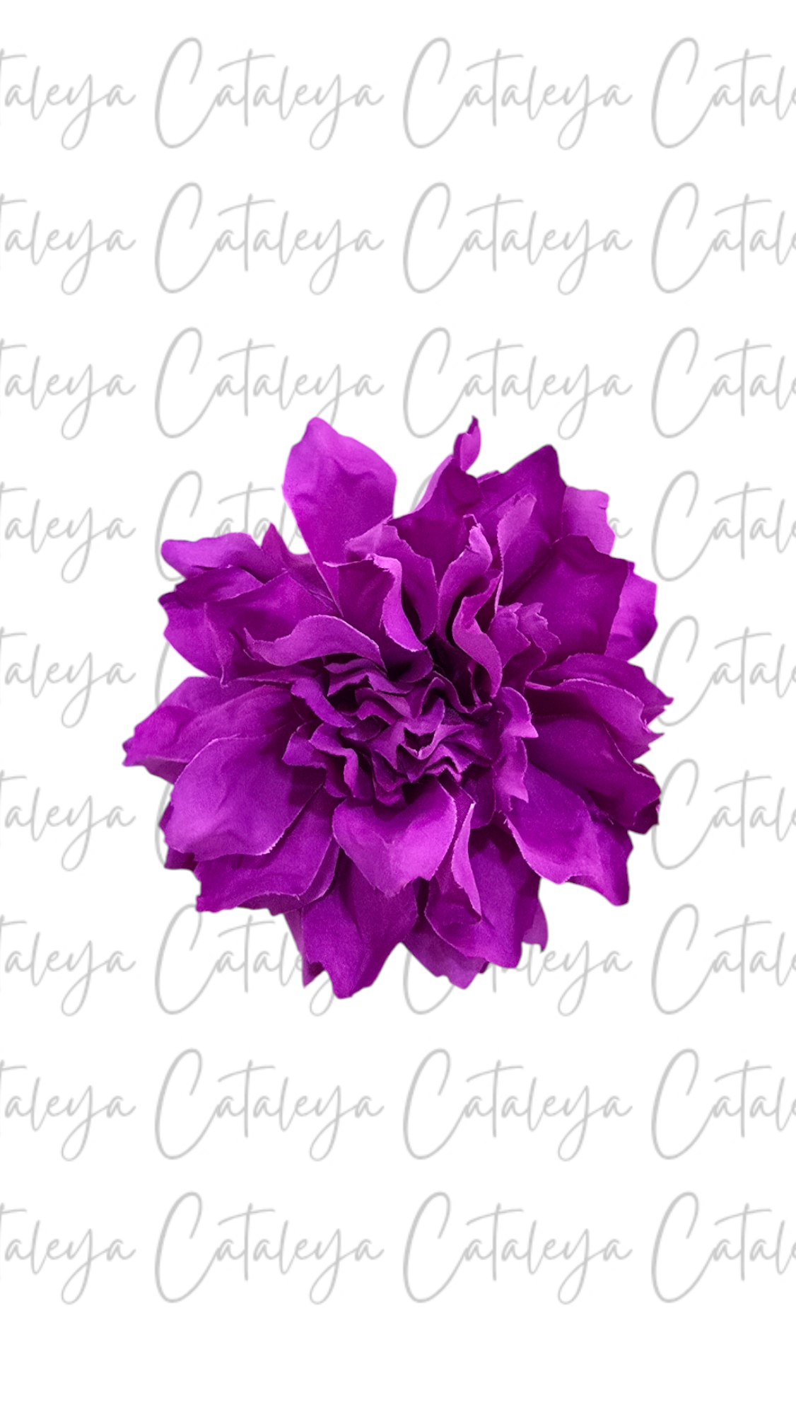 Dalia
