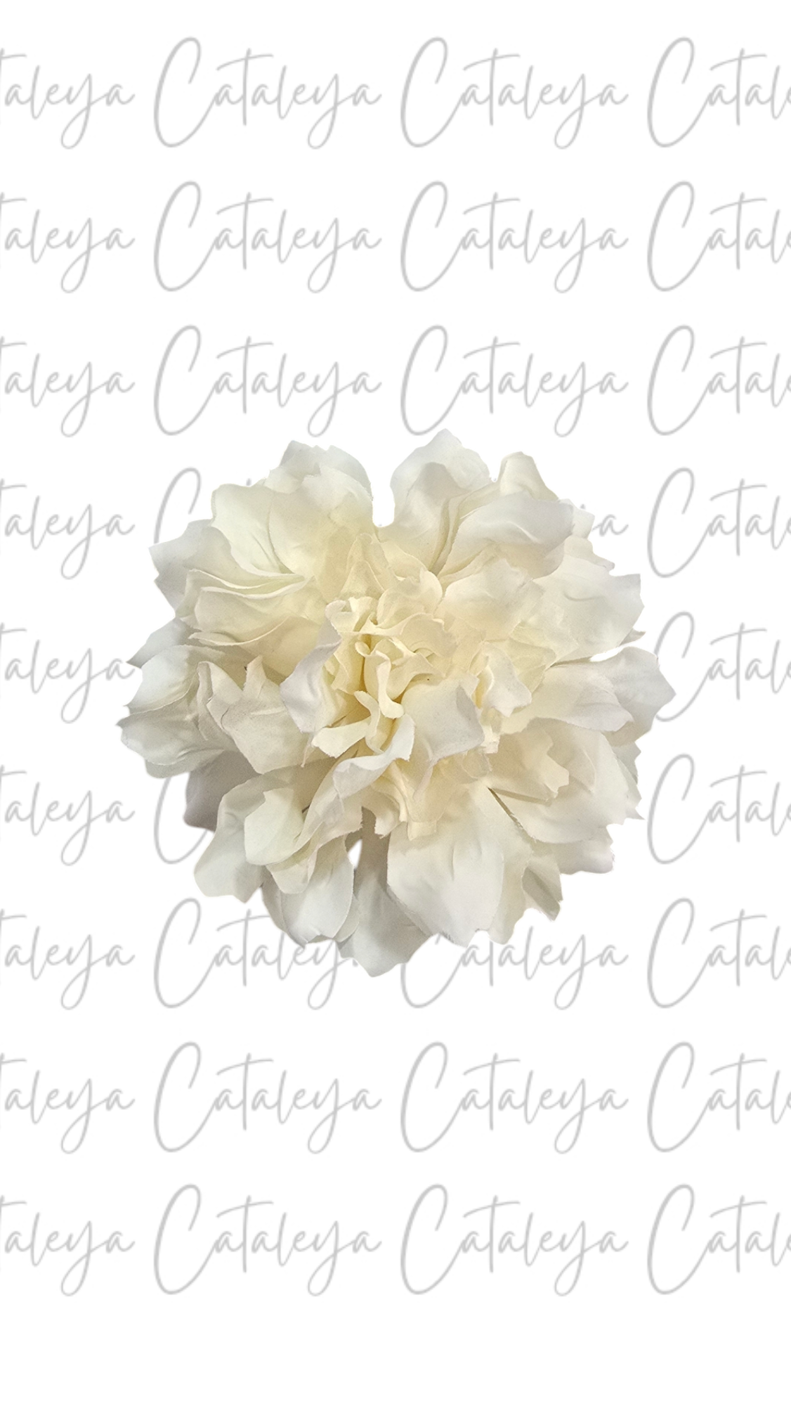 Dalia
