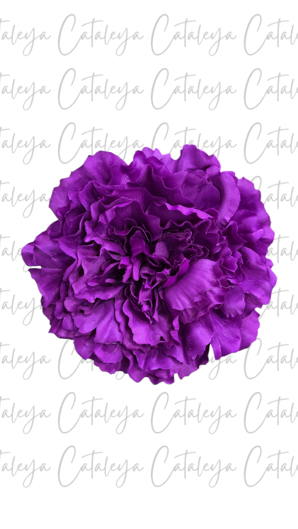Peonia Grande