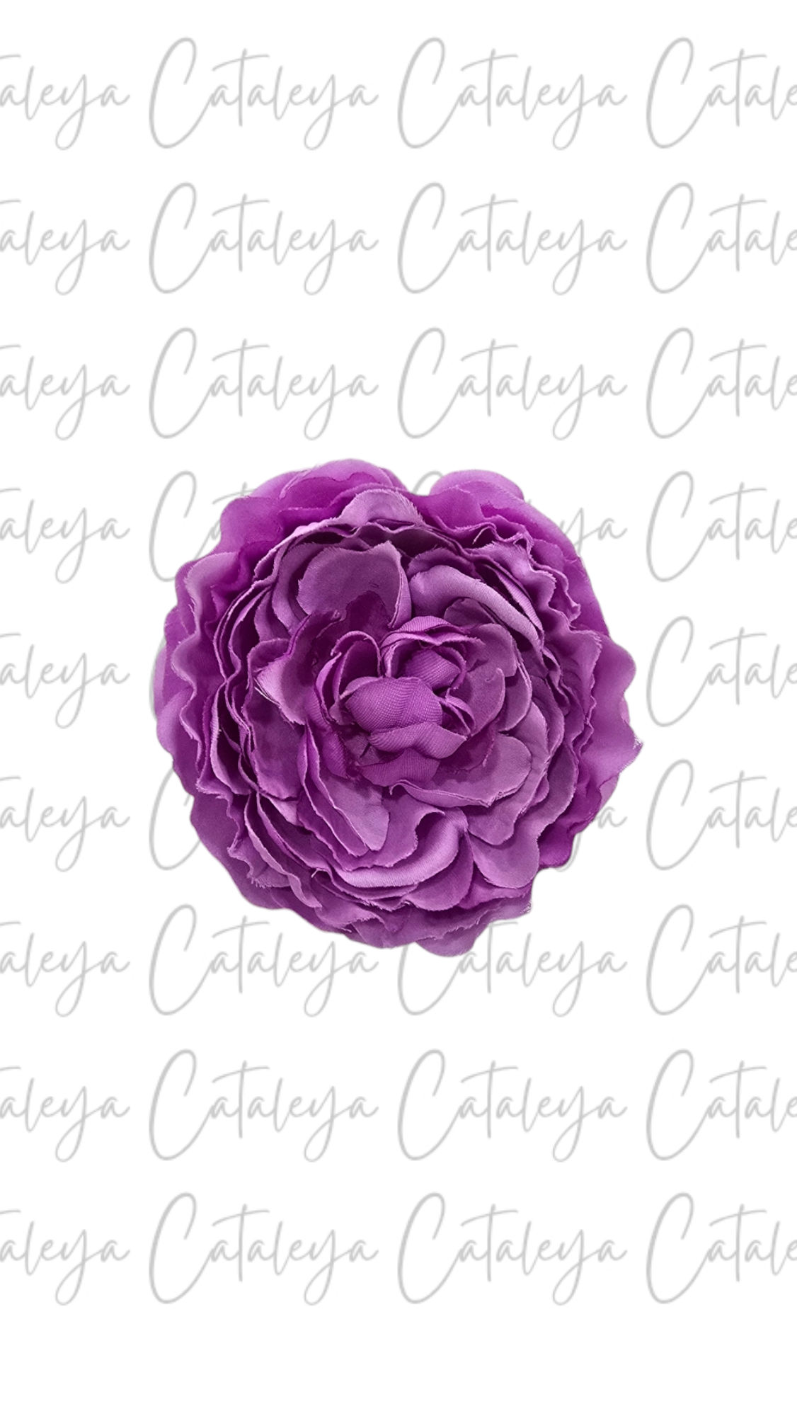 Peonia Pequeña