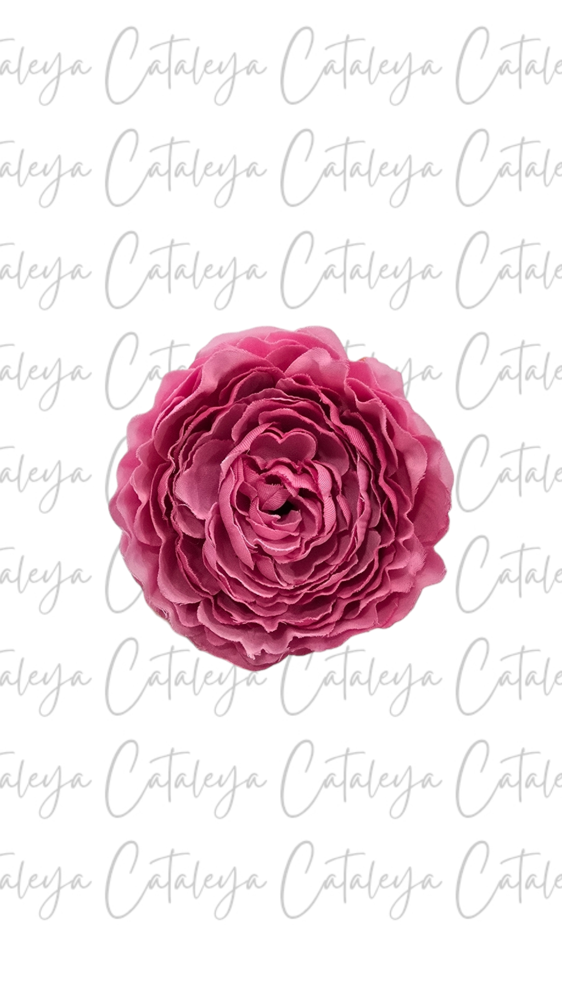 Peonia Pequeña