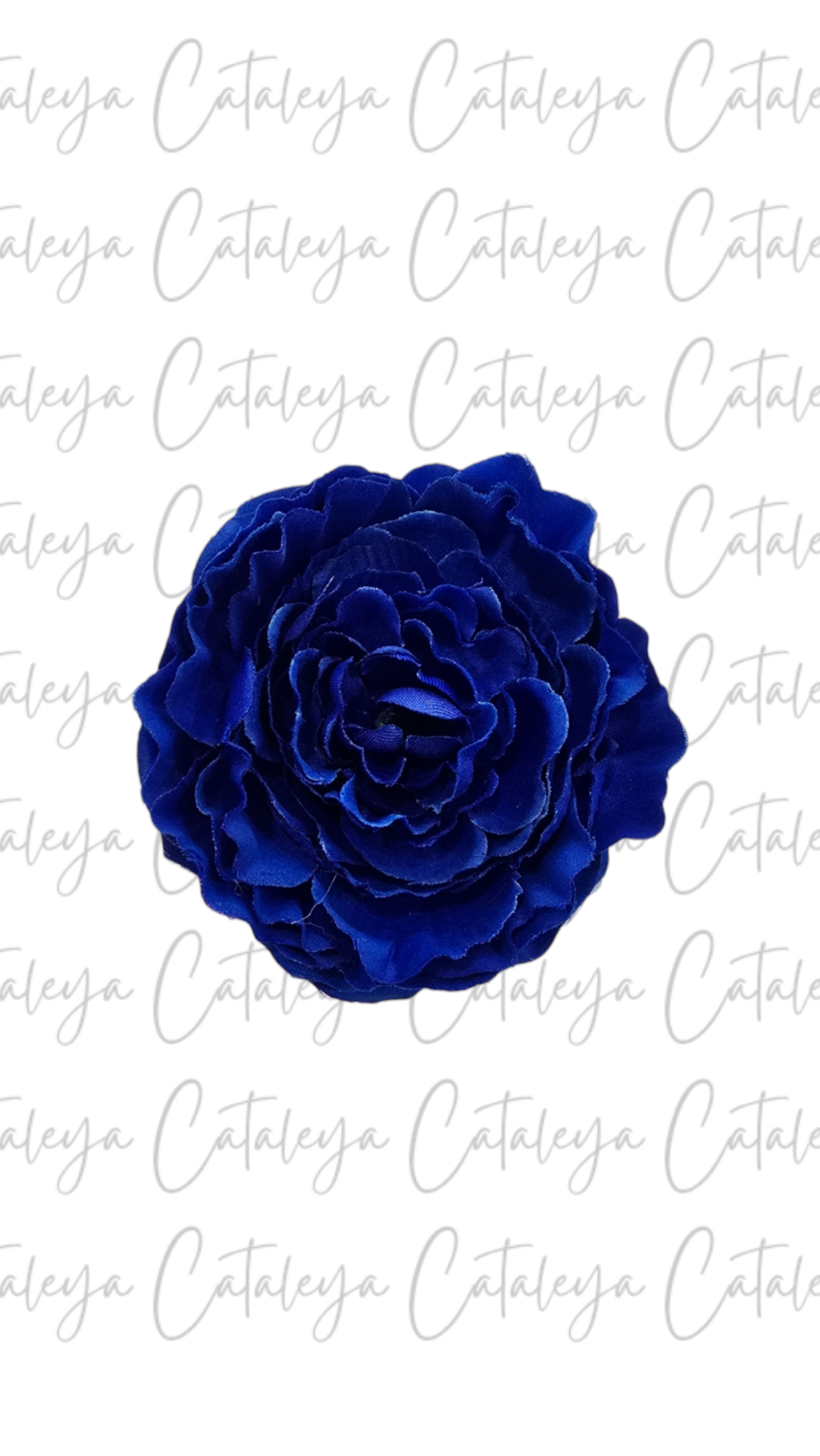 Peonia Pequeña