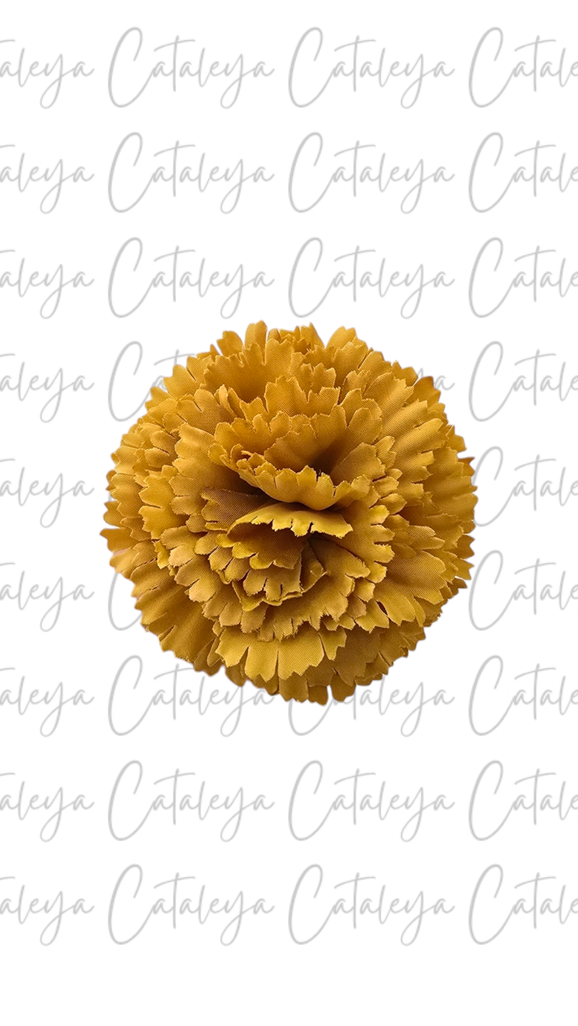 Clavel pequeño