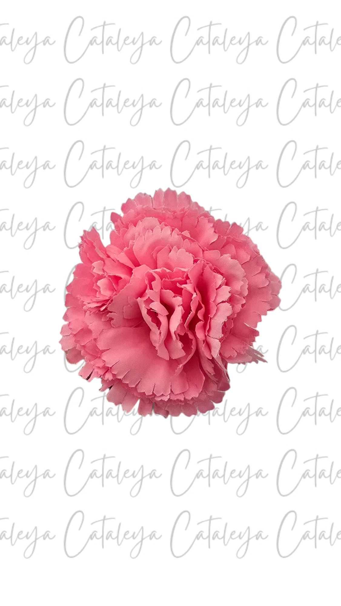 Clavel pequeño