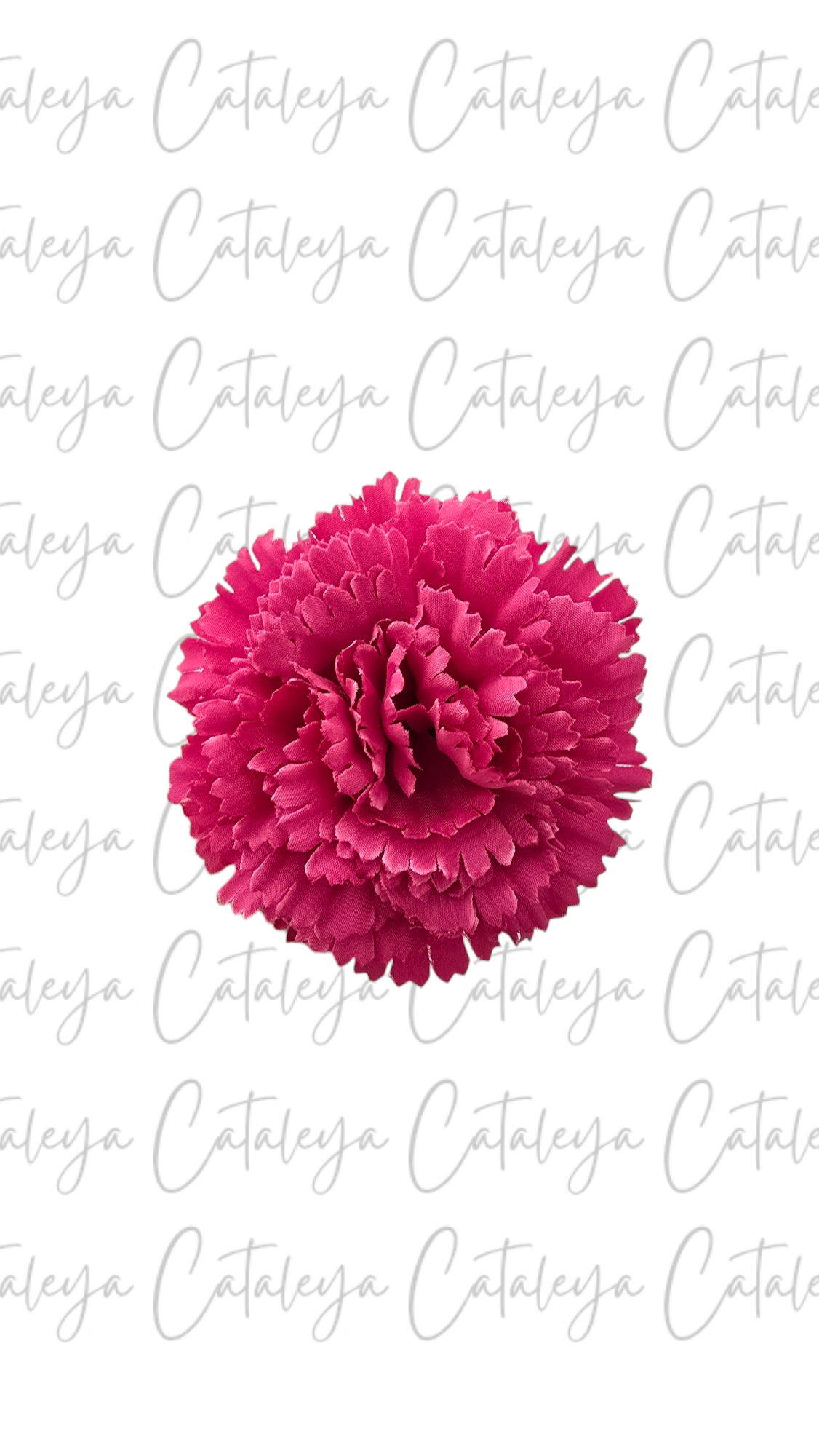 Clavel pequeño