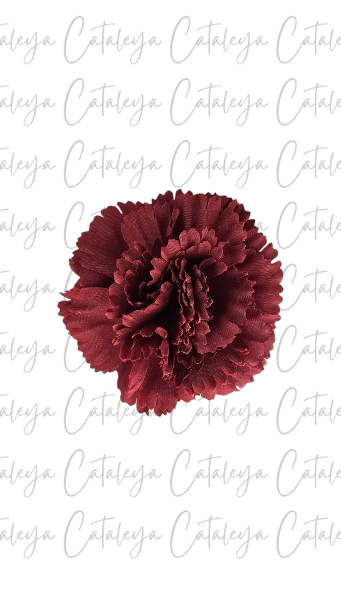Clavel pequeño