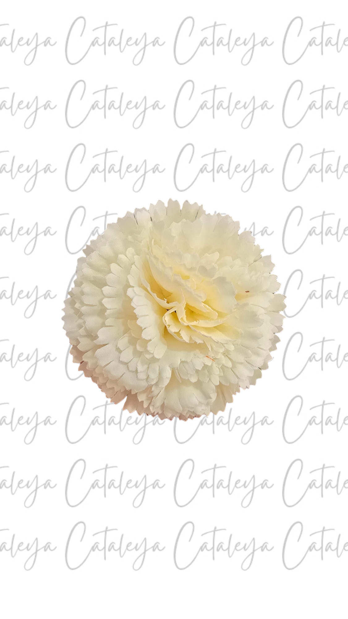 Clavel pequeño