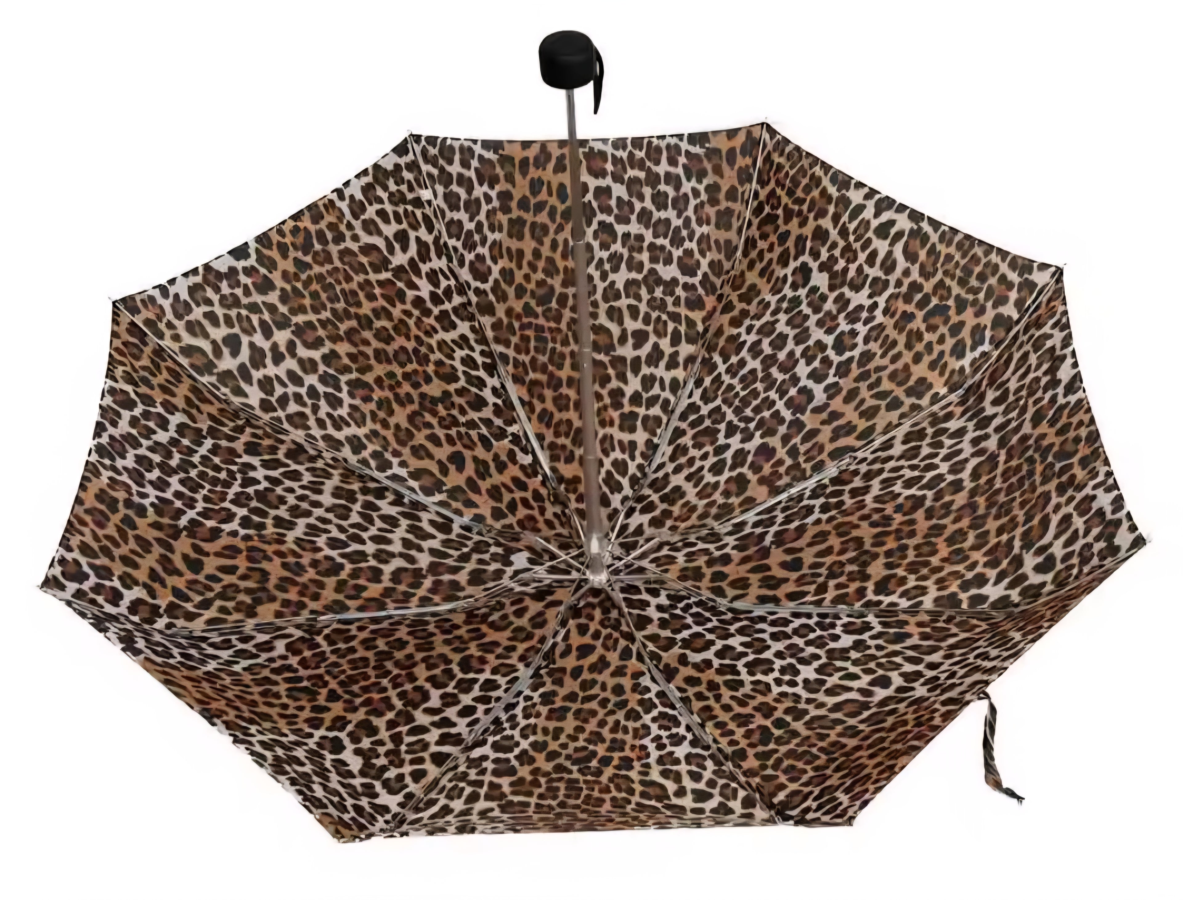 Paraguas con estuche