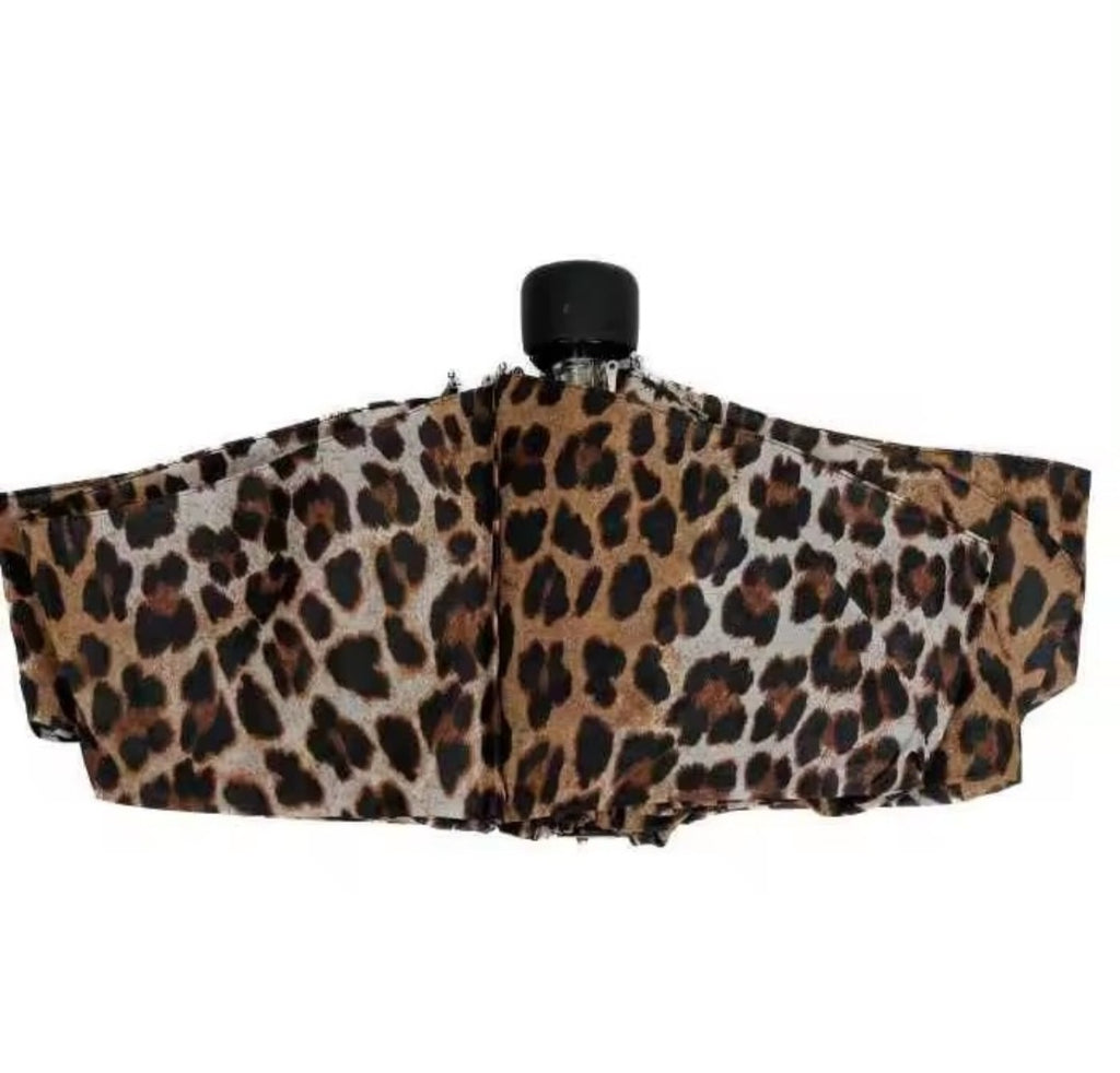 Paraguas con estuche