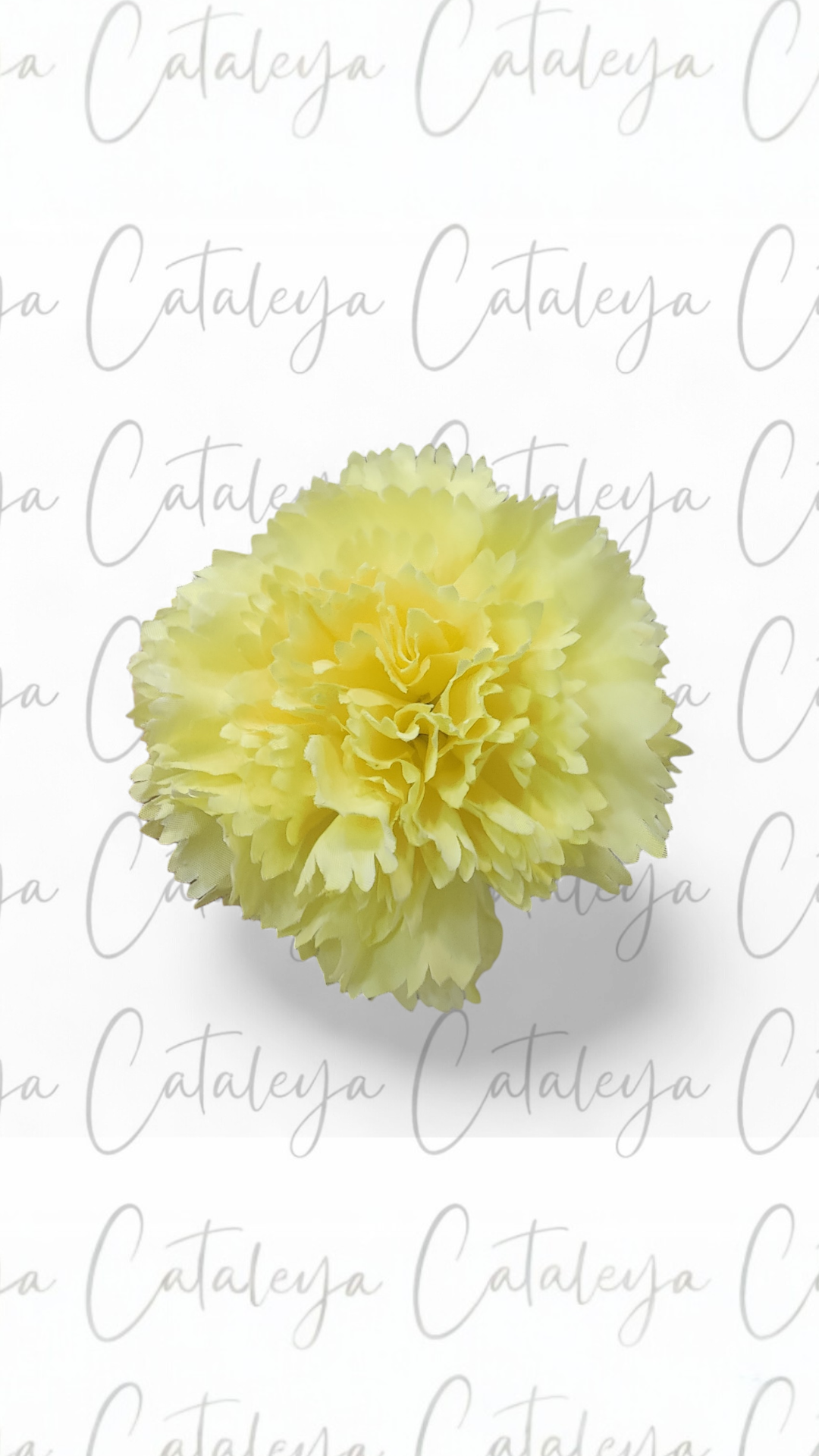 Clavel Mediano
