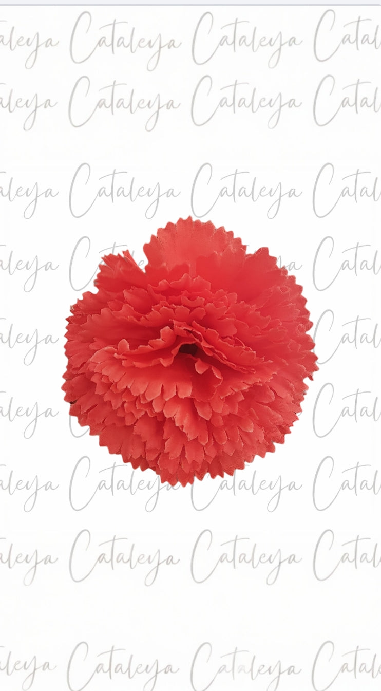 Clavel pequeño