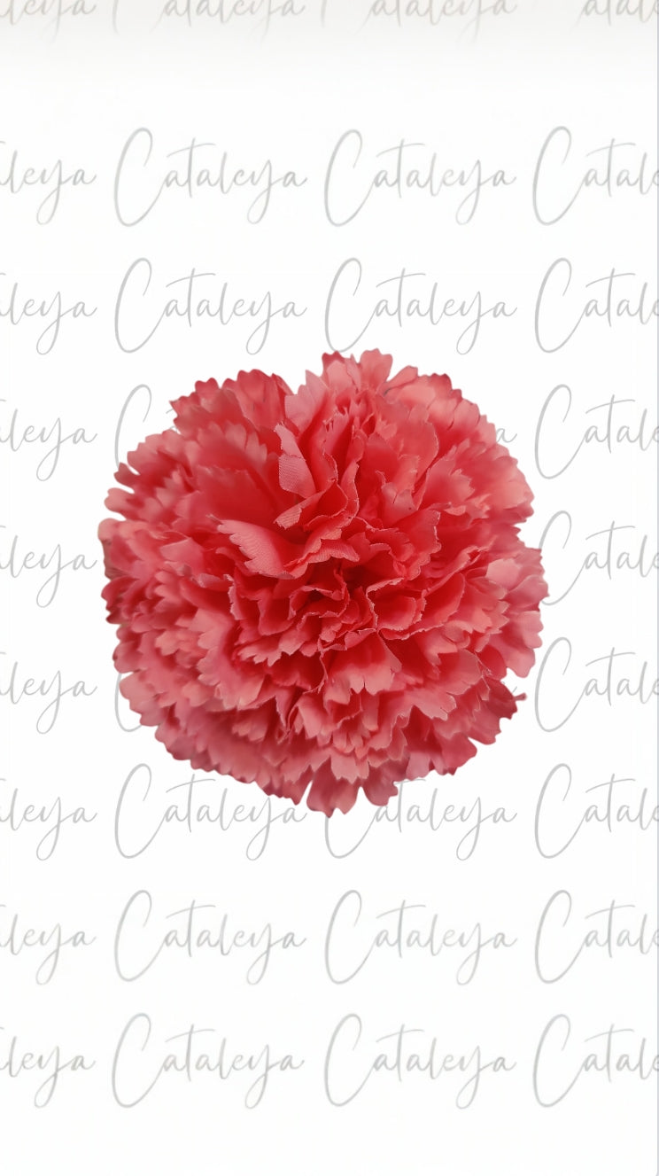 Clavel