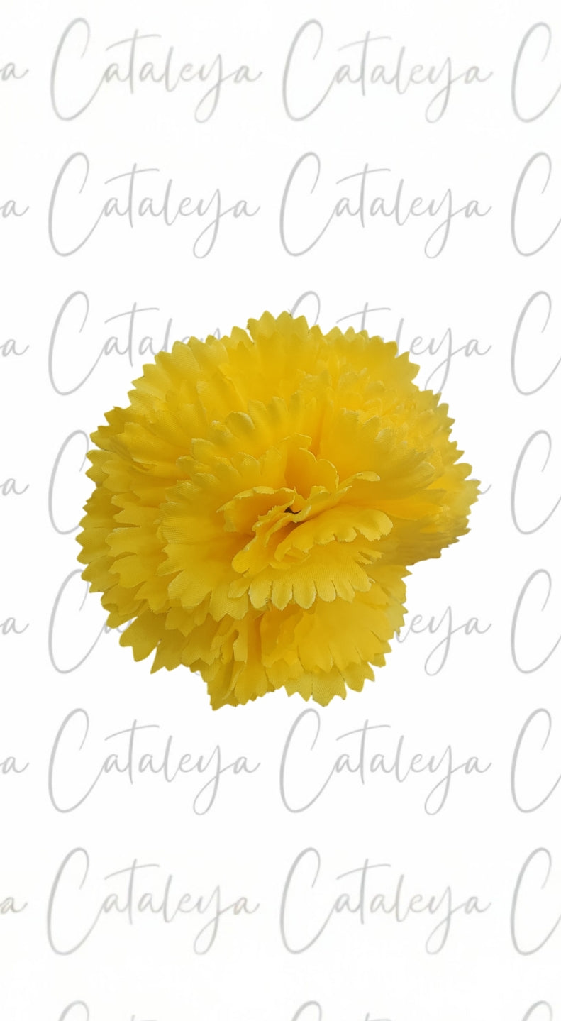 Clavel pequeño