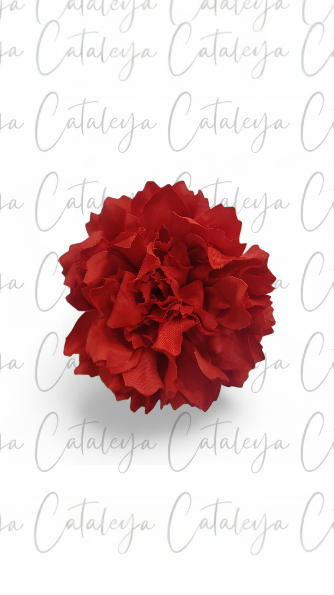 Dalia