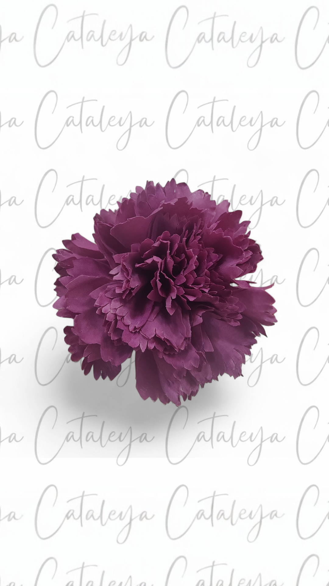 Clavel Mediano
