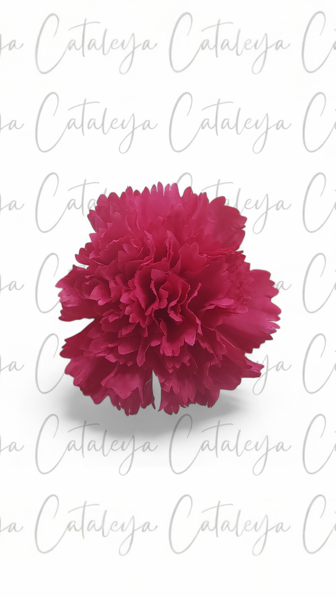 Clavel Mediano