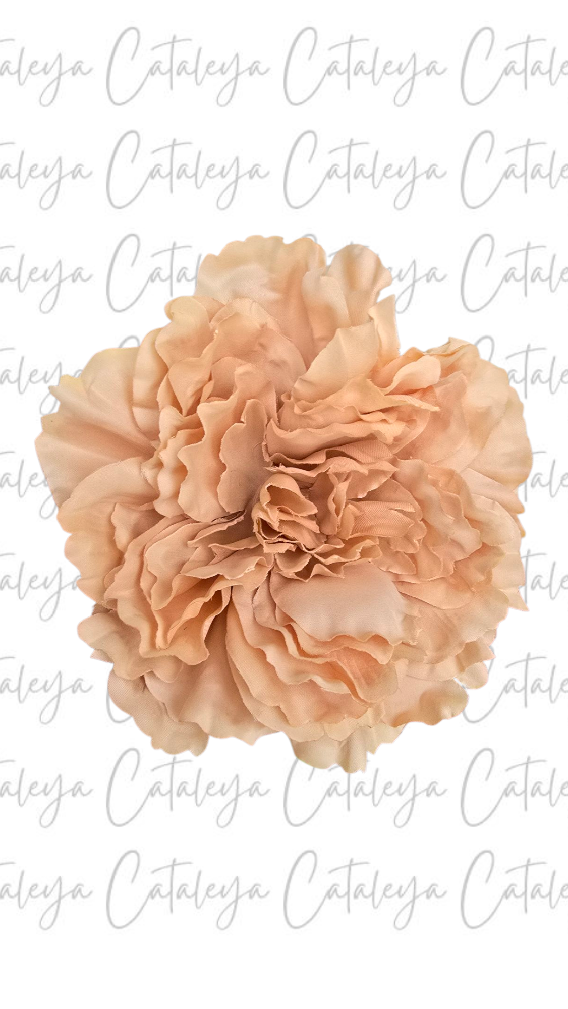 Peonia Grande