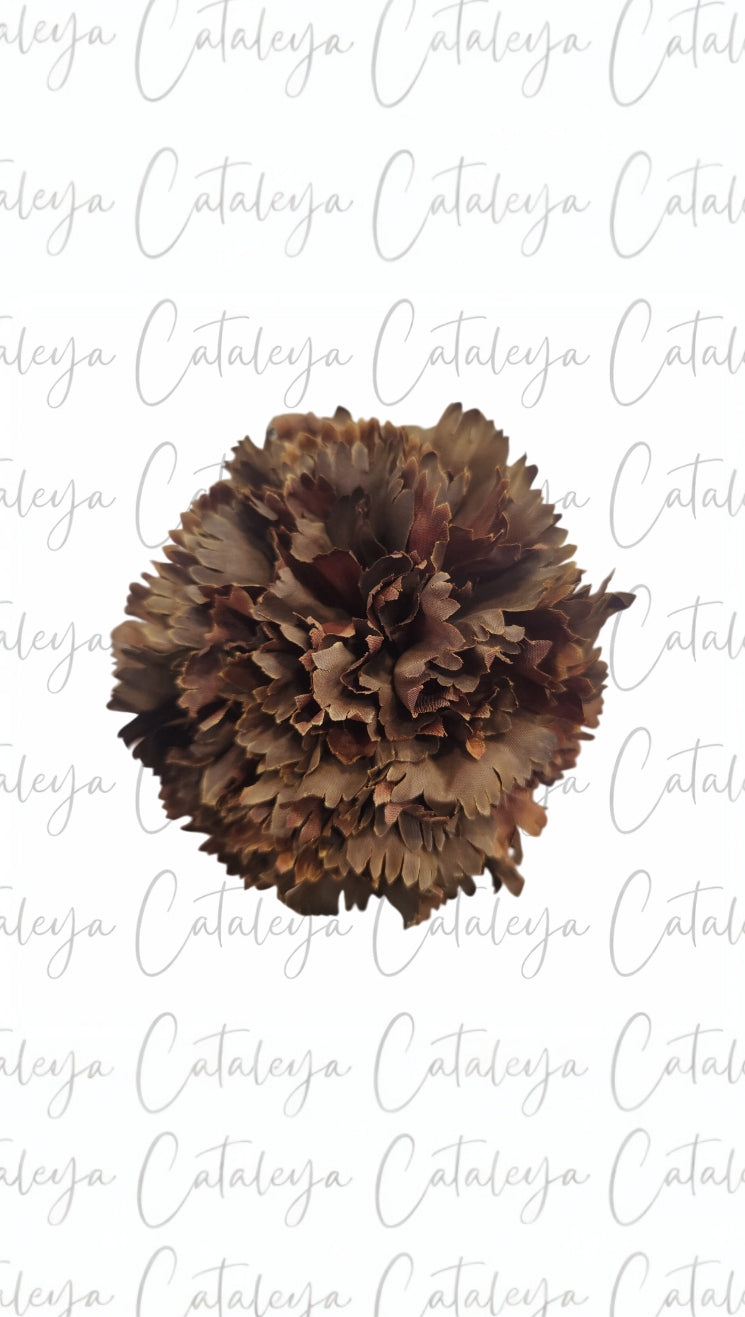 Clavel