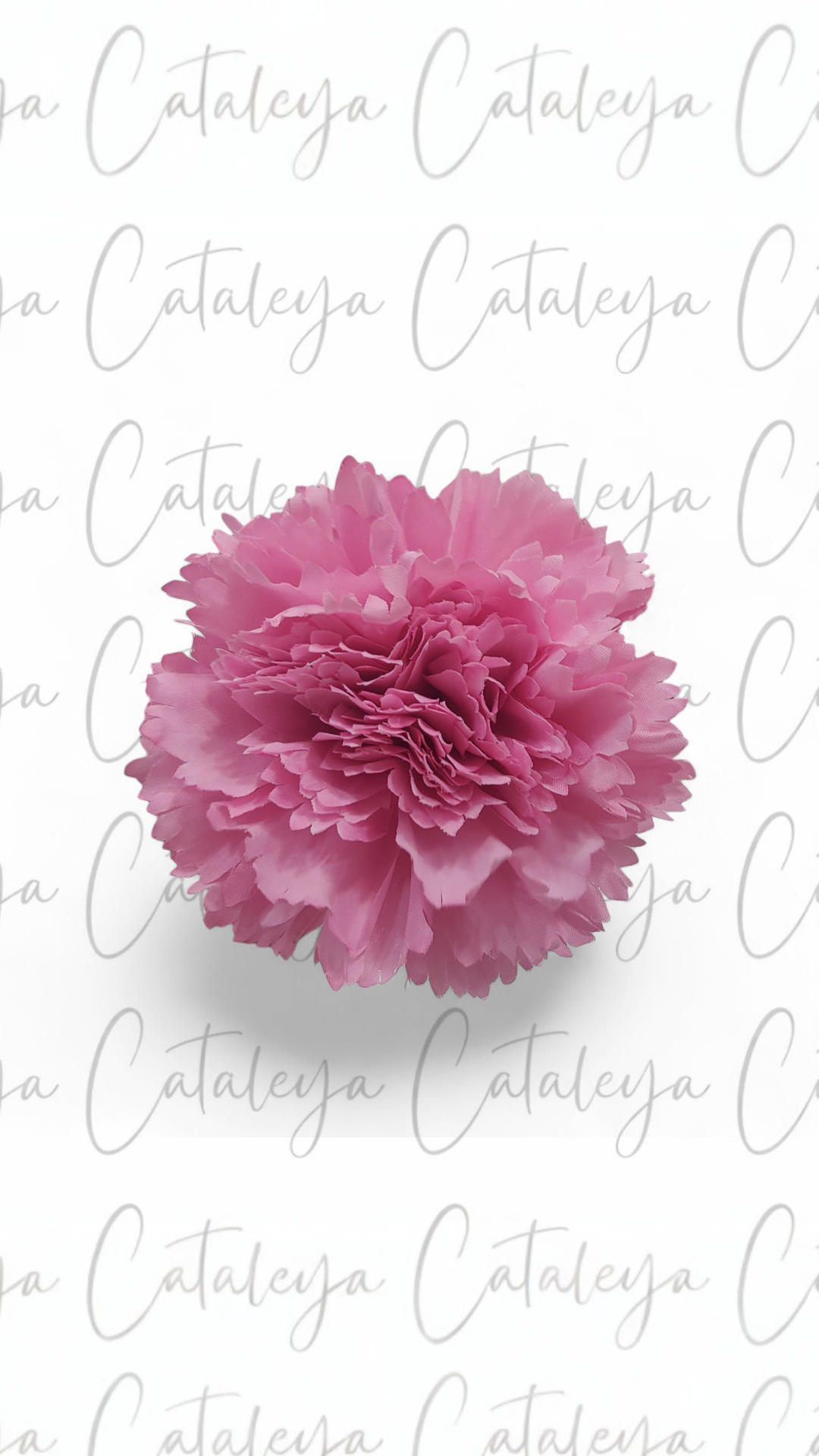 Clavel Mediano