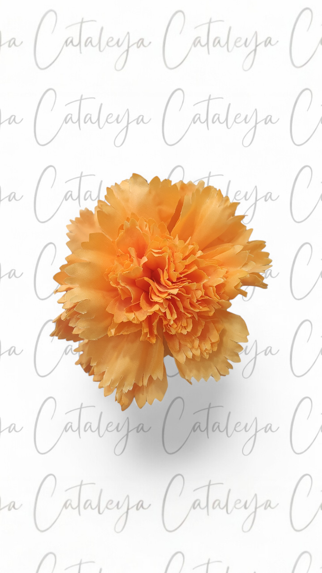 Clavel Mediano