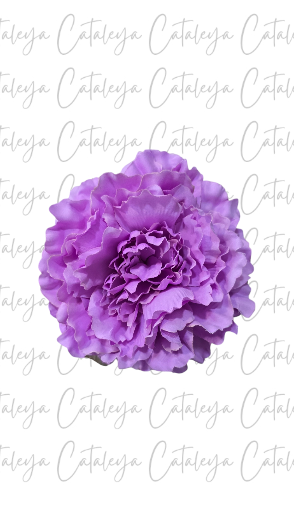 Peonia Grande