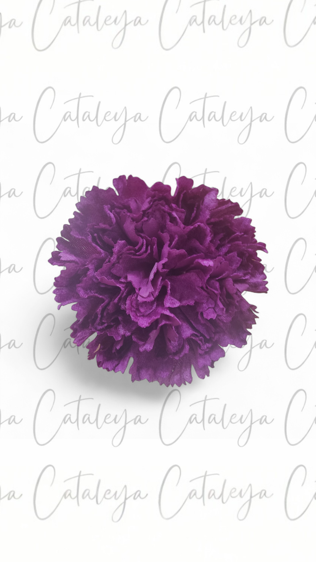 Clavel Terciopelo