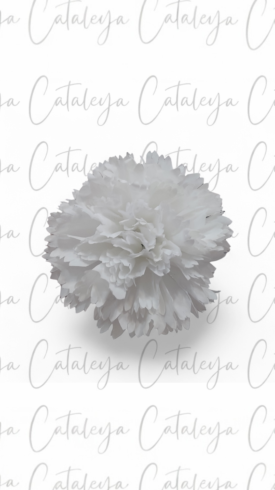 Clavel Mediano