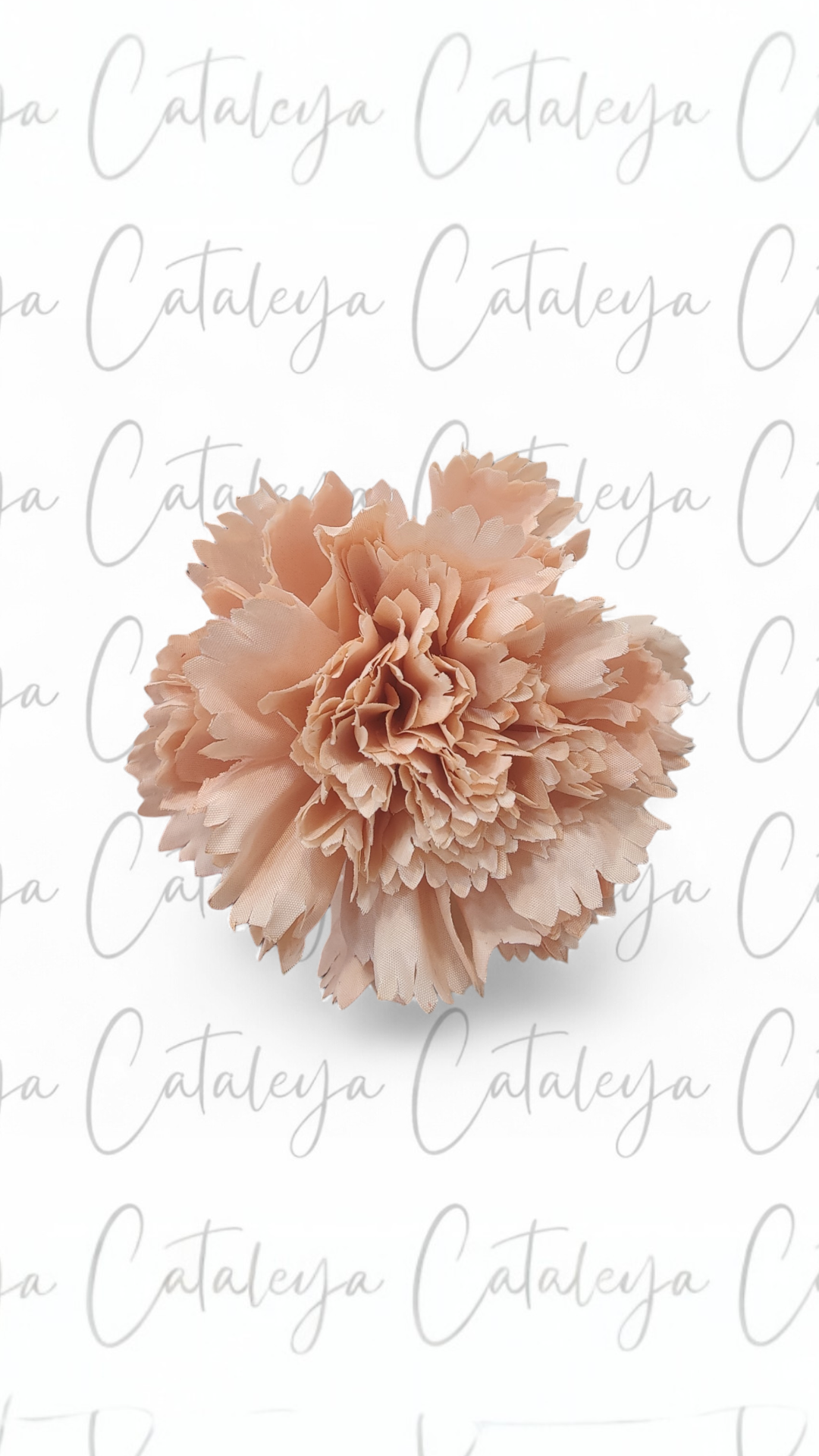 Clavel Mediano