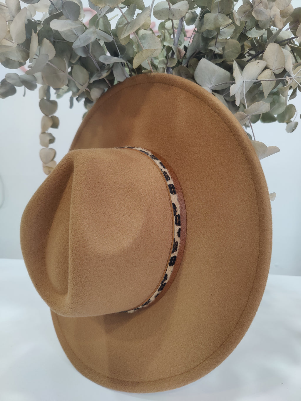 Sombrero Camel