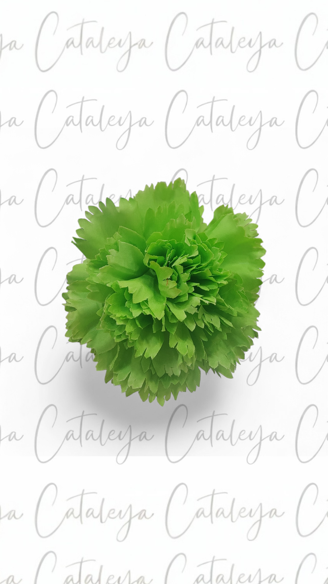 Clavel Mediano