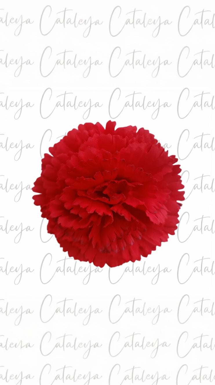 Clavel pequeño