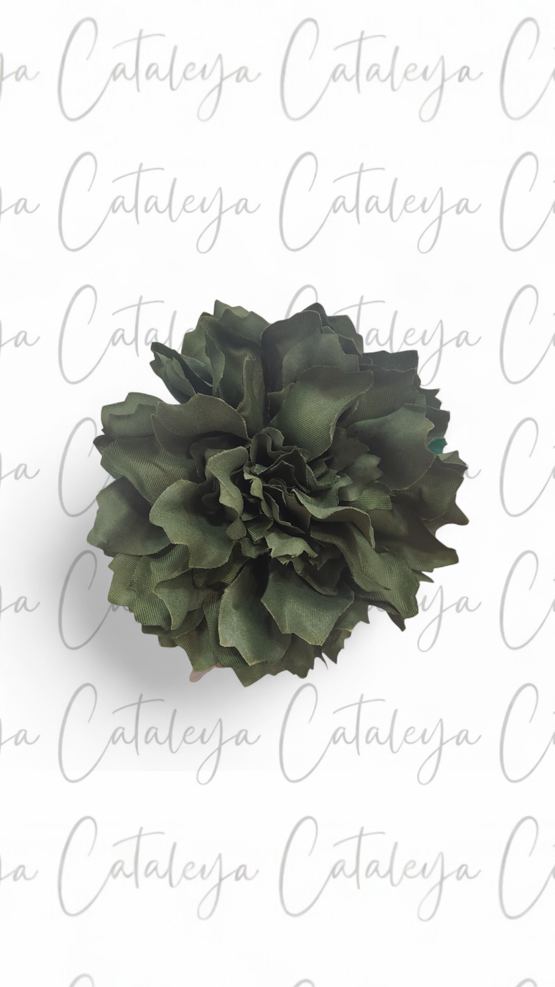 Dalia
