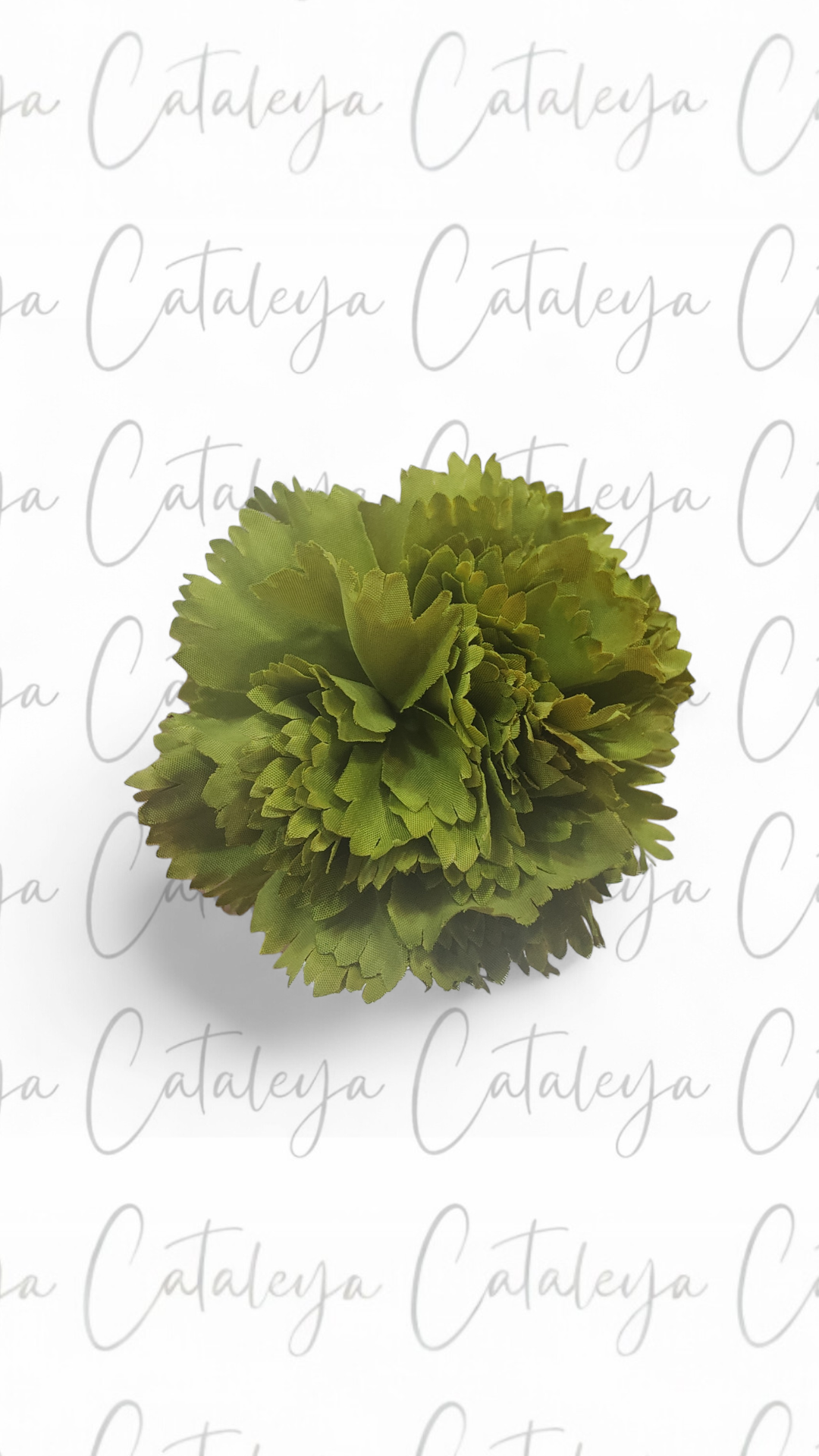 Clavel Mediano